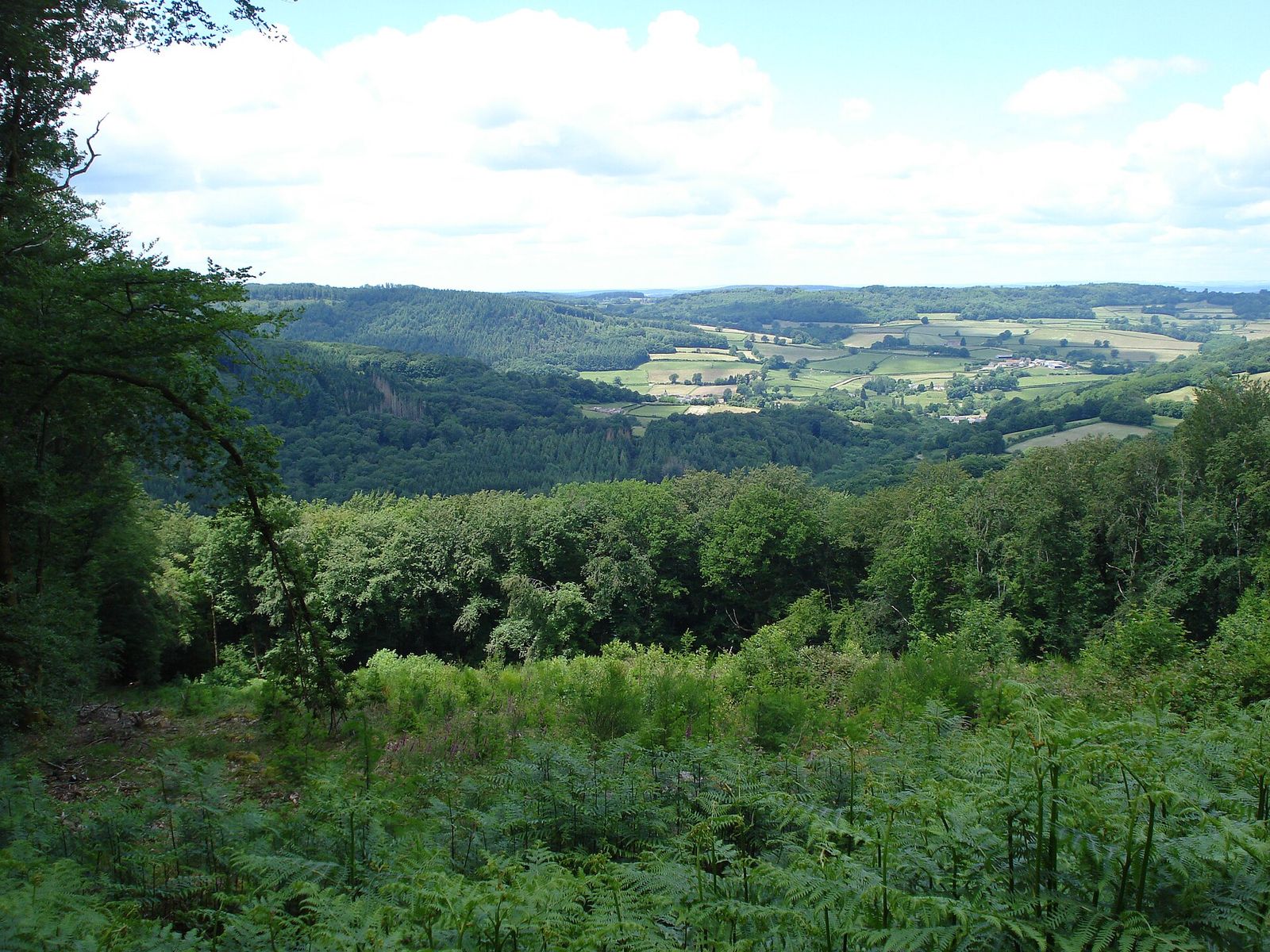 Landscape in Bourgogne-Franche-Comté