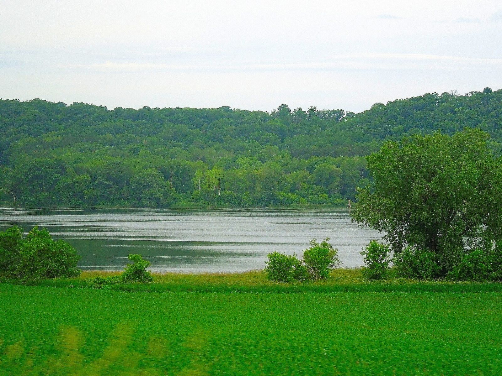 Landscape in Brandenburg