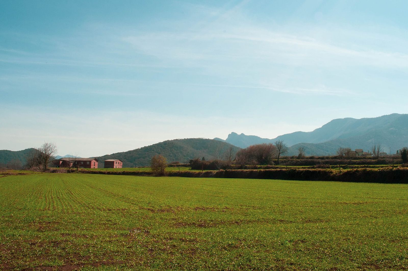 Landscape in Catalonia