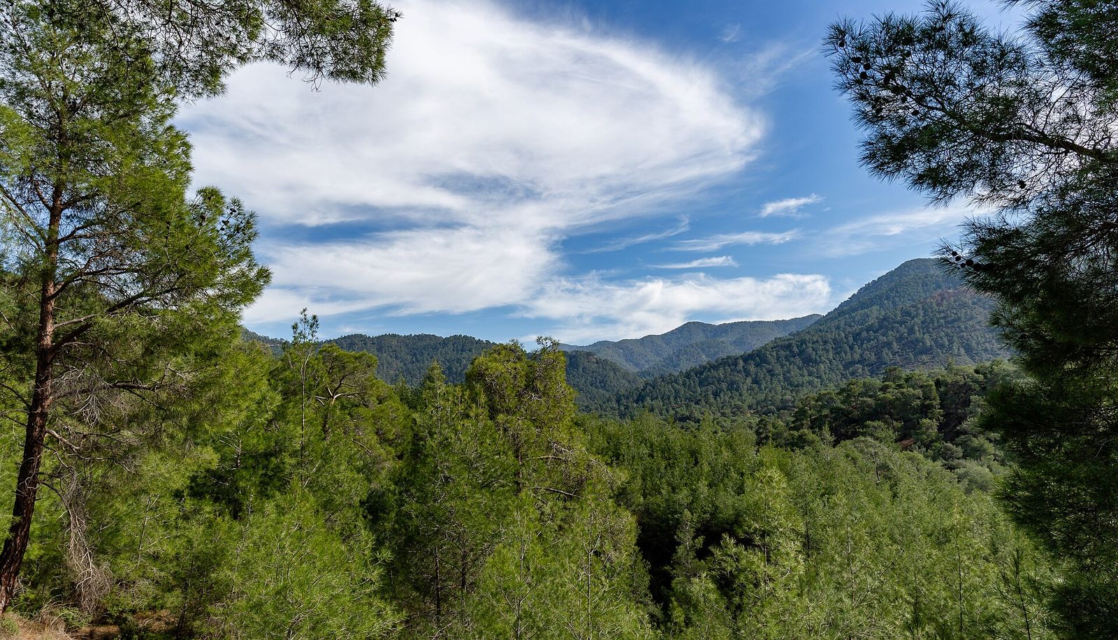 Landscape in Limassol