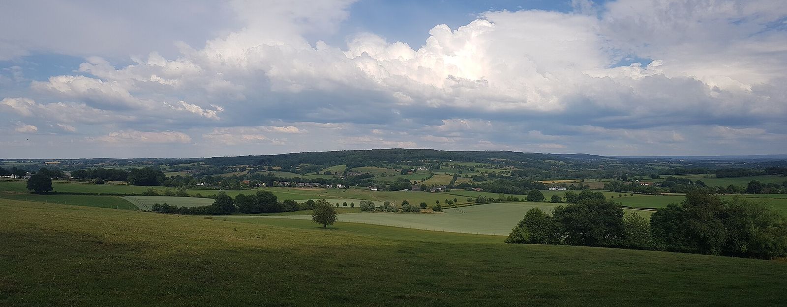 Landscape in Limburg