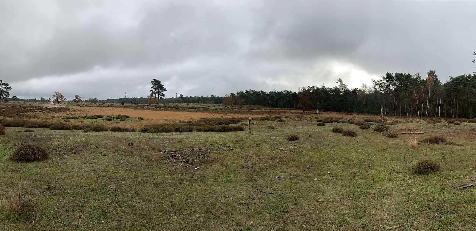 Landscape in North Brabant