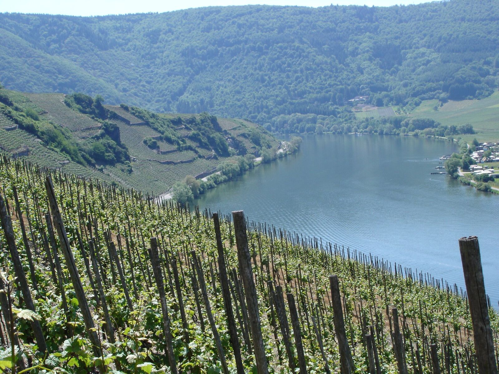 Landscape in Rhineland-Palatinate