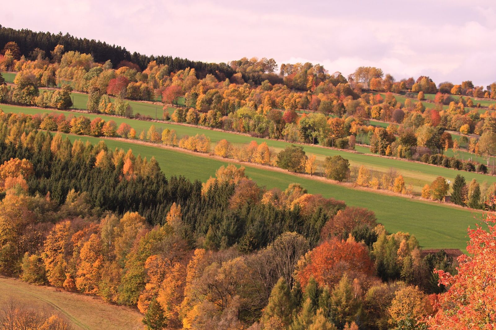 Landscape in Saxony