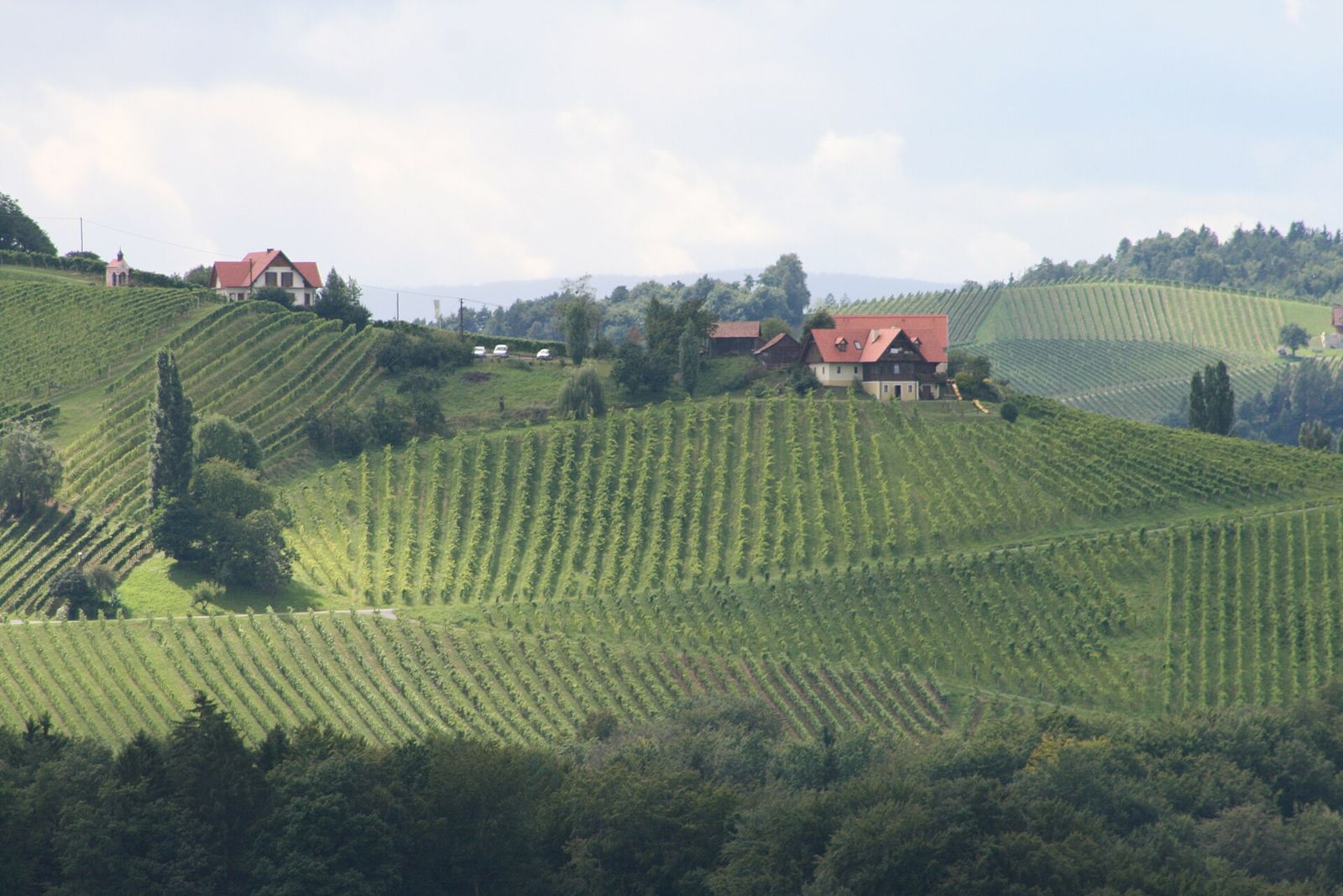 Landscape in Styria