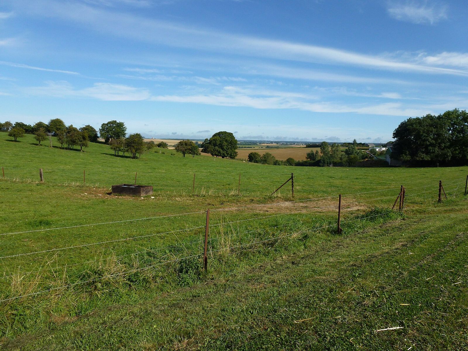 Landscape in Wallonia